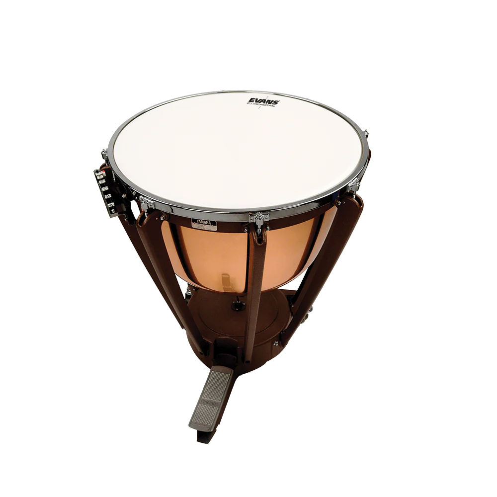 Thumbnail 33